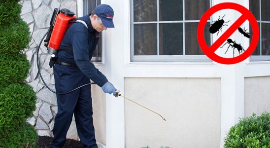 Fındıklı Gümüşkurt İlaçlama böcek ilaçlama ve haşere kontrolü — ilaclama-tr.com